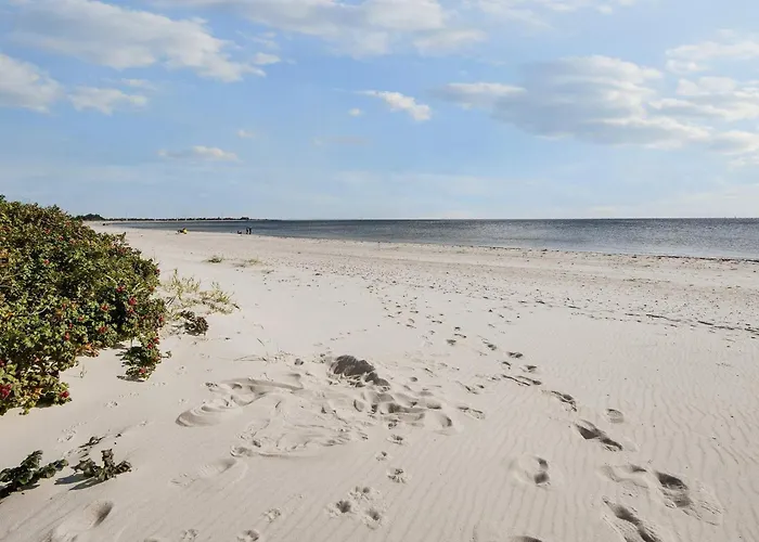 Holiday home Tranquil Retreat Skovmose - By Traum Viboge